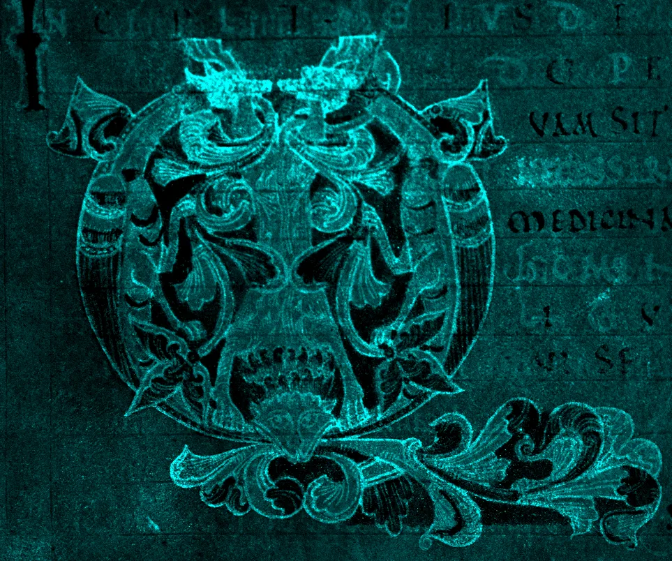 Macro-XRF map of calcium (Ca) on an ornate letter — bright areas mark calcium-rich zones